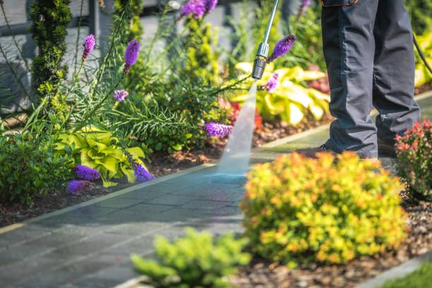 Professional Pressure Washing Services in Canton, MO